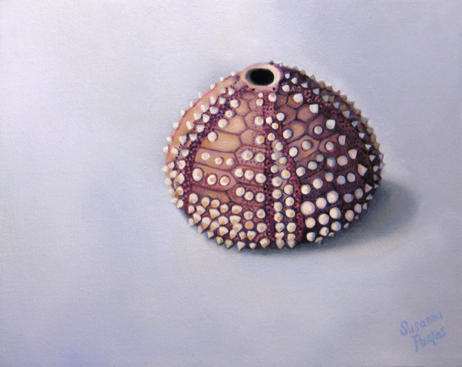 Contemplation: Anemone, by Susanna Pantas